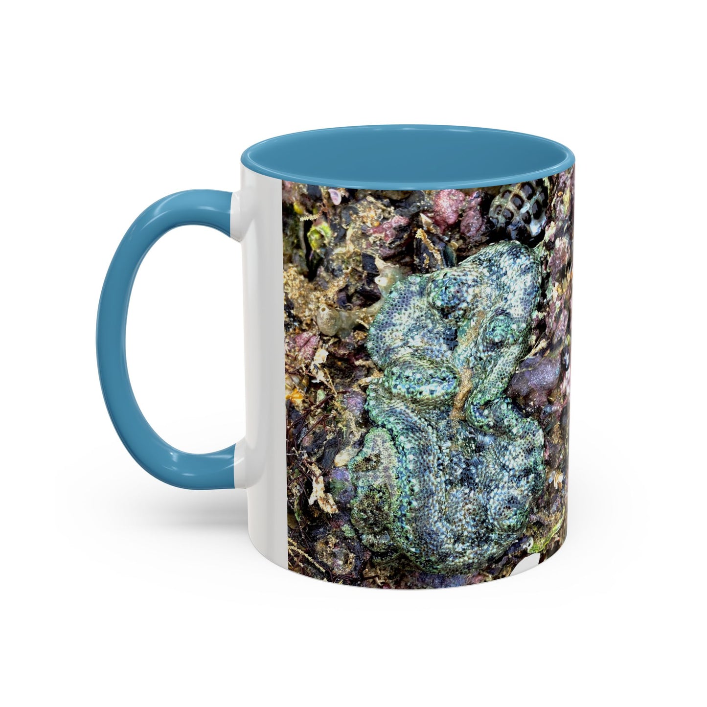 Reef range Accent Coffee Mug (11, 15oz)