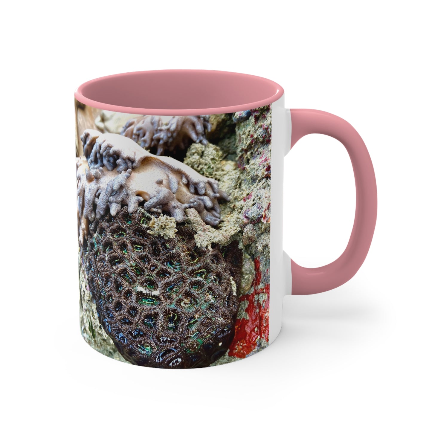 Purposely Wandering Coral Accent Mug - 11oz Colorful Coffee Cup