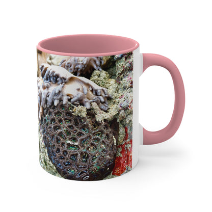 Purposely Wandering Coral Accent Mug - 11oz Colorful Coffee Cup