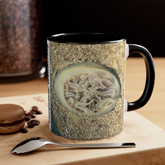 Reef range- AUS PRINT Colorful Accent Mugs, 11oz