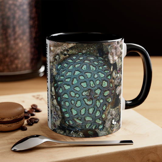 Reef range- AUS PRINT Colourful Accent Mugs, 11oz
