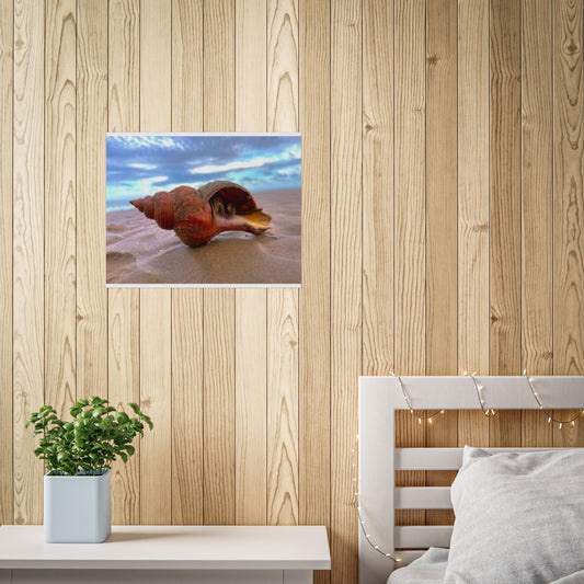 Coastal Shell Unframed Poster - Beach Decor for Ocean Lovers