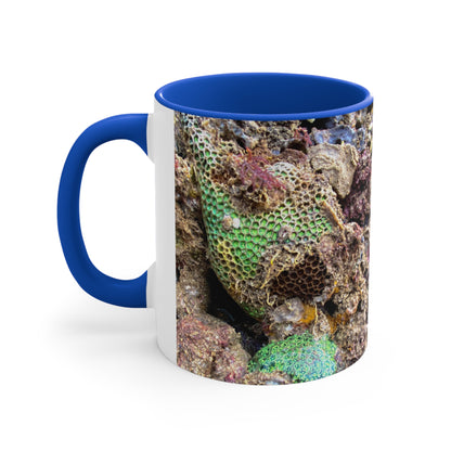Reef range- AUS PRINT Colorful Accent Mugs, 11oz