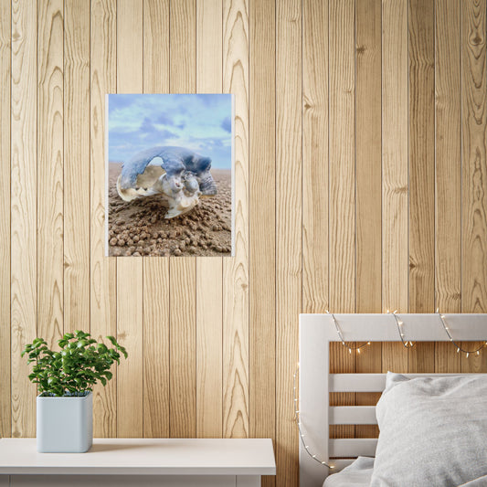 Coastal Marine Life Unframed Poster - Seashell Photography for Beach Lovers and Home Decor