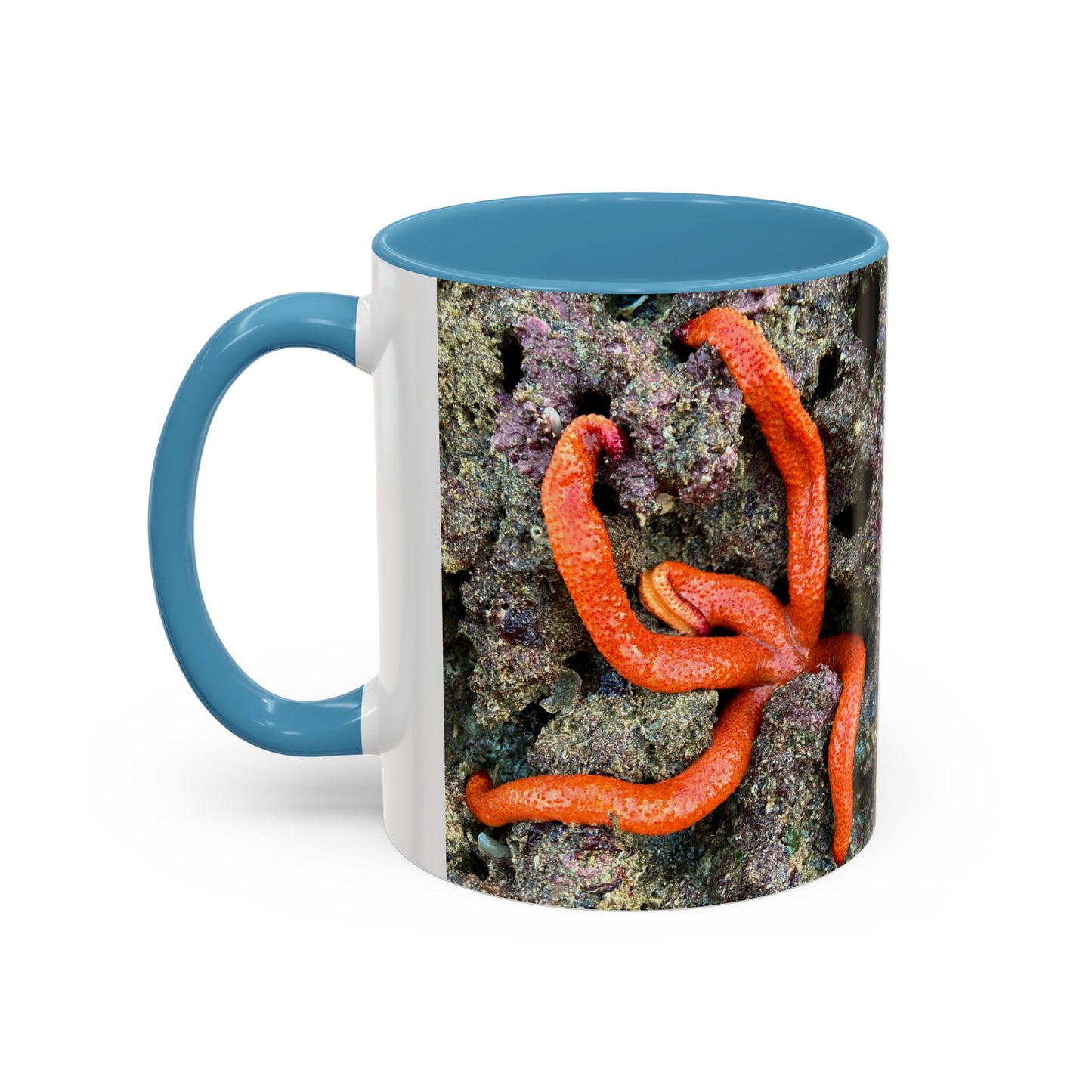 Reef range Accent Coffee Mug (11, 15oz)