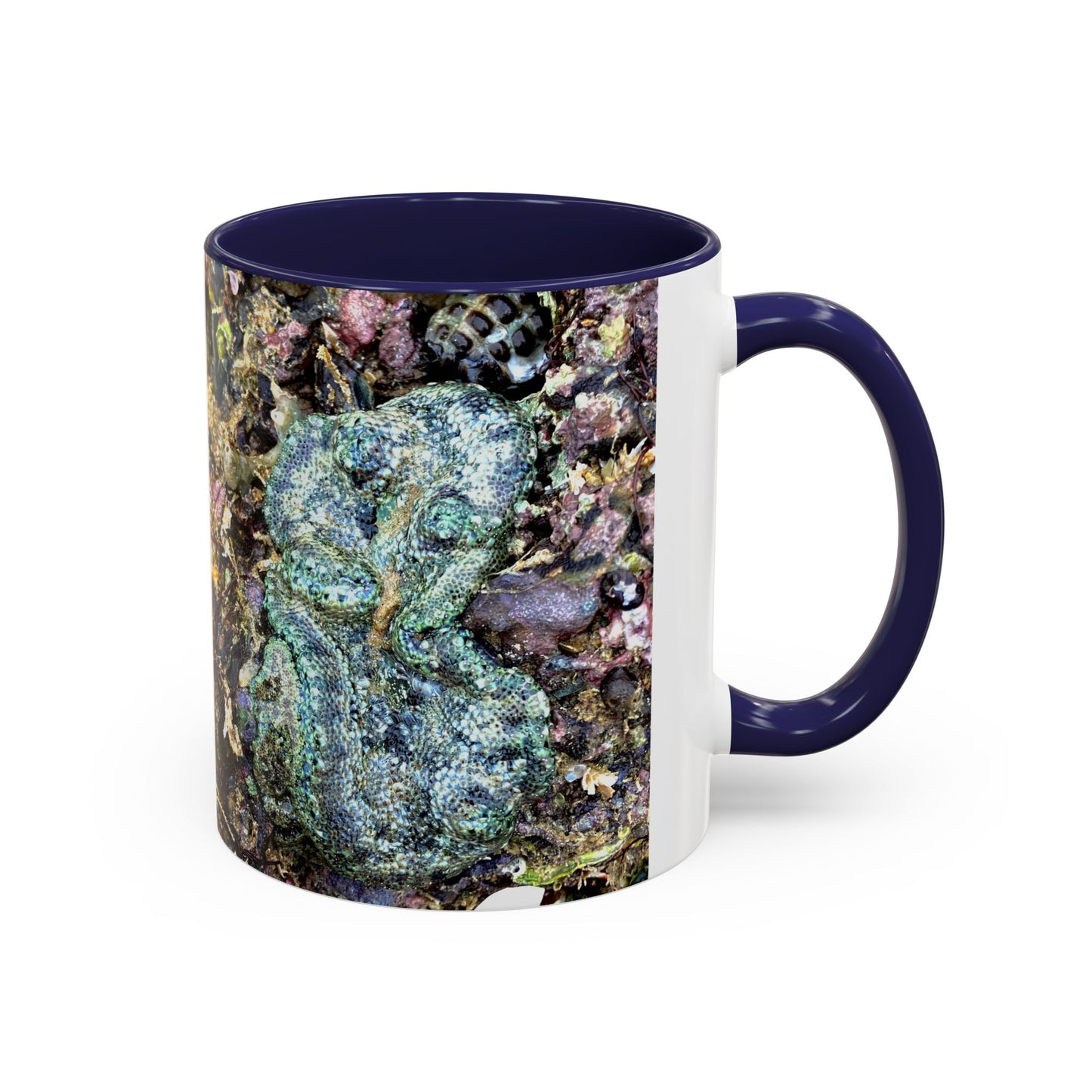 Reef range Accent Coffee Mug (11, 15oz)