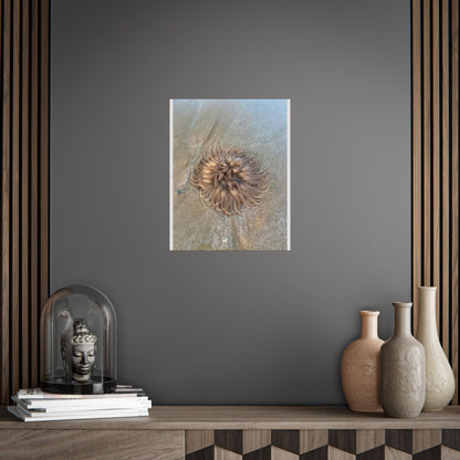 Coastal Sea Creature Unframed Poster - Serene Ocean Decor