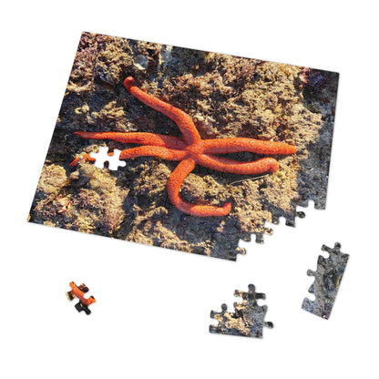 Reef- Jigsaw Puzzle (30, 110, 252, 500,1000-Piece)