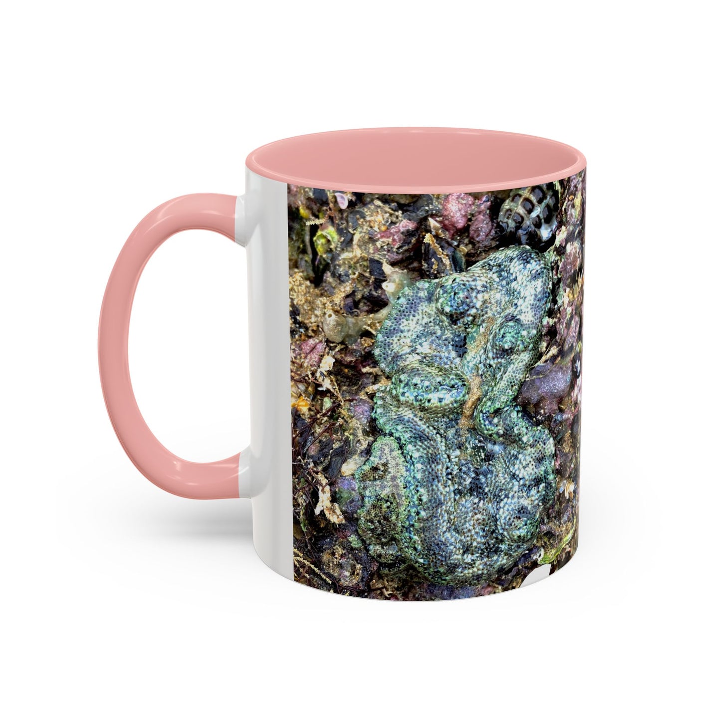 Reef range Accent Coffee Mug (11, 15oz)