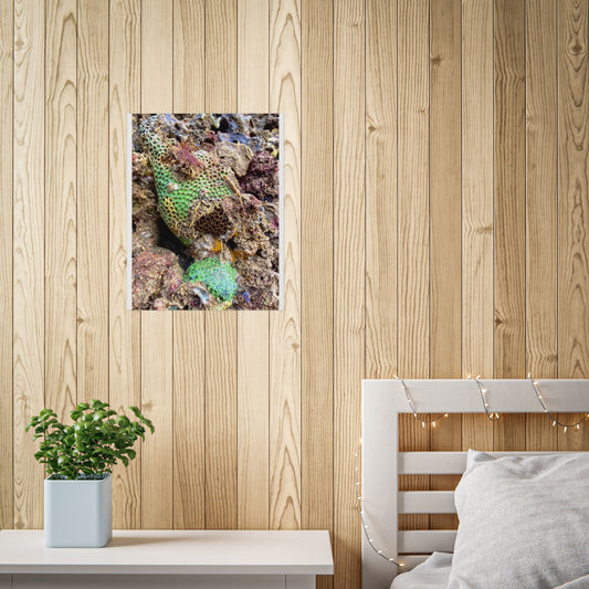 Colorful Coral Reef Unframed Poster - Nature Wall Art for Ocean Lovers