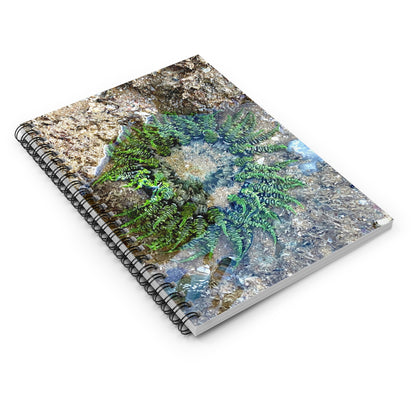 Reef range Spiral Notebook - Ruled Line