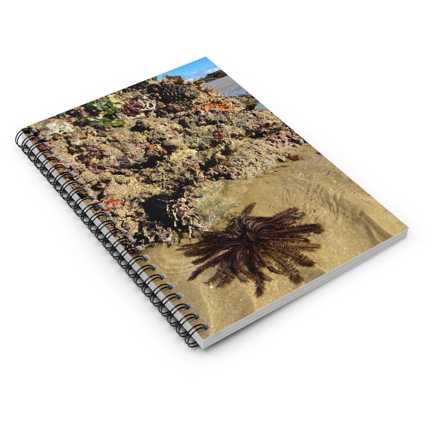 Reef range Spiral Notebook - Ruled Line