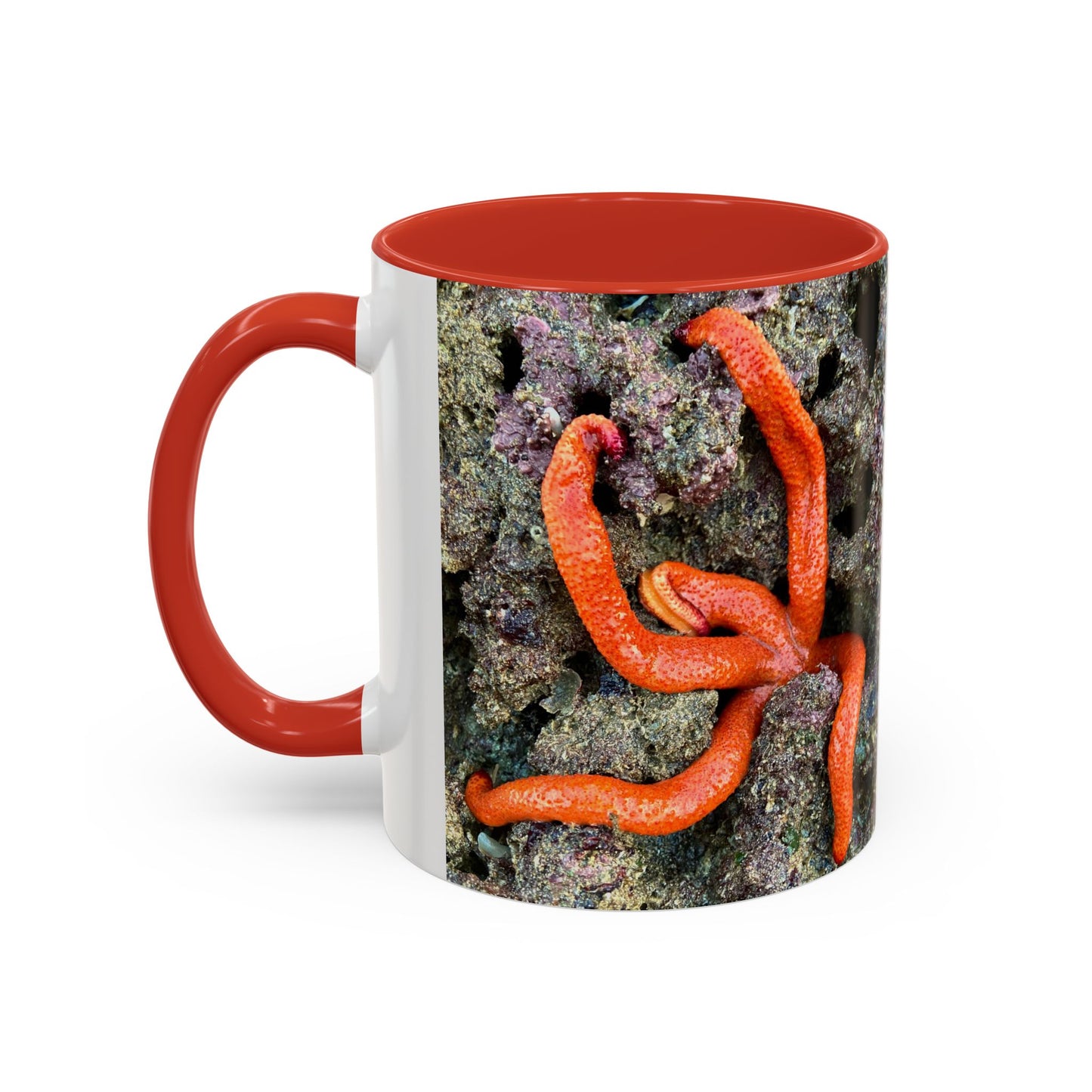 Reef range Accent Coffee Mug (11, 15oz)