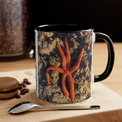 Reef range- AUS PRINT Colorful Accent Mugs, 11oz