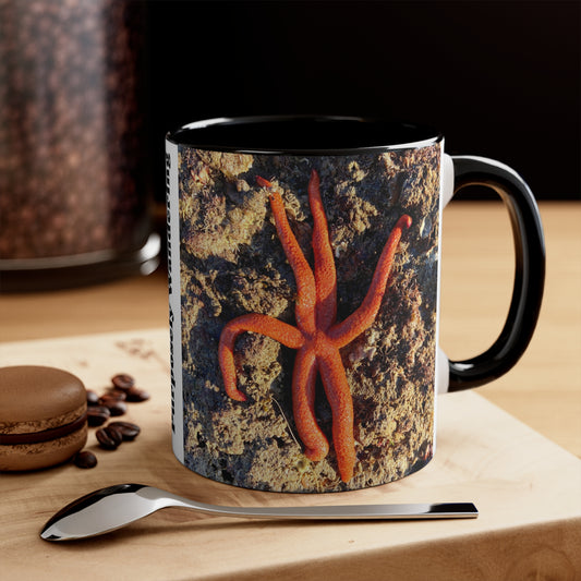 Reef range- AUS PRINT Colorful Accent Mugs, 11oz