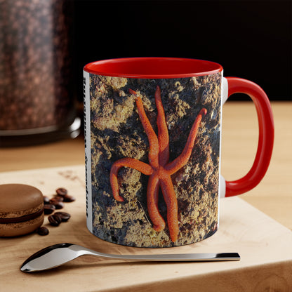 Reef range- AUS PRINT Colorful Accent Mugs, 11oz