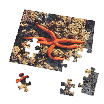 Reef- Jigsaw Puzzle (30, 110, 252, 500,1000-Piece)