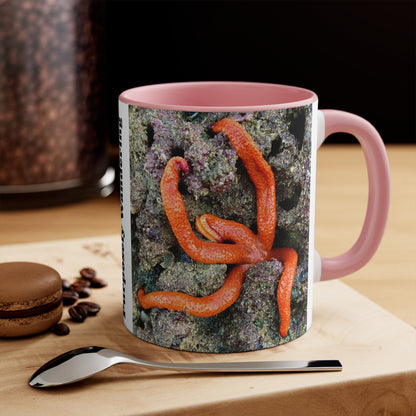 Reef range- AUS PRINT Colorful Accent Mugs, 11oz