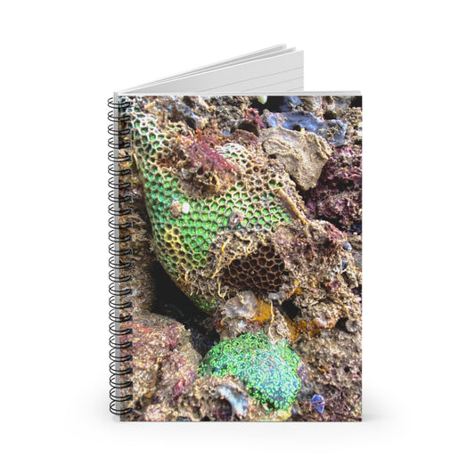 Reef range Spiral Notebook - Ruled Line