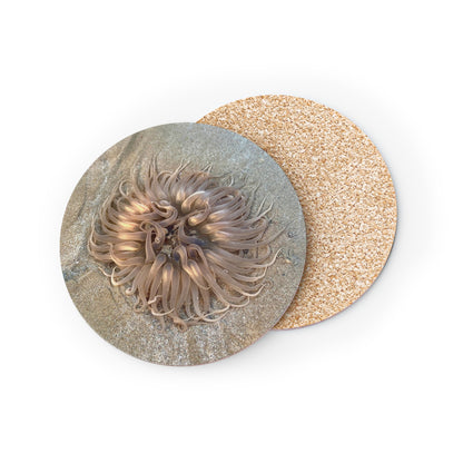 Reef range- AUS PRINT Coasters