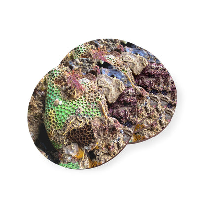 Reef range- AUS PRINT Coasters