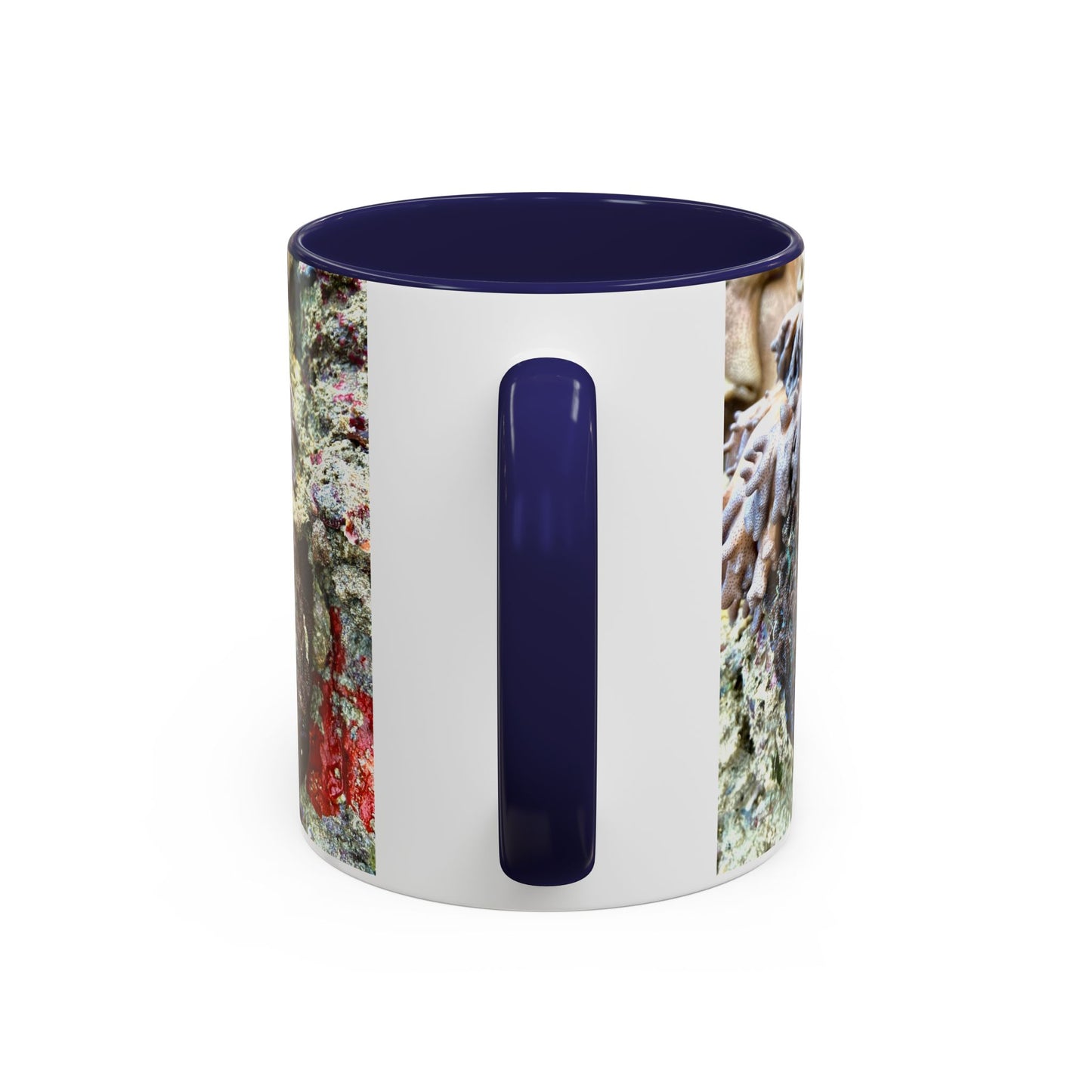 Reef range Accent Coffee Mug (11, 15oz)