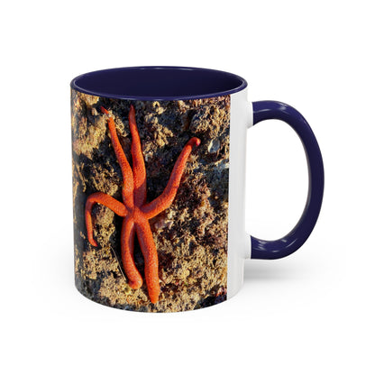 Reef range Accent Coffee Mug (11, 15oz)