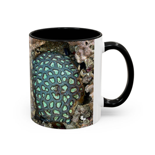 Reef range Accent Coffee Mug (11, 15oz)