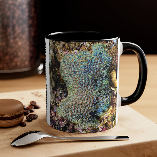 Reef range- AUS PRINT Colorful Accent Mugs, 11oz