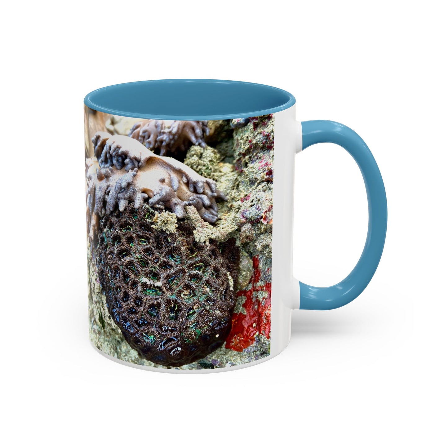 Reef range Accent Coffee Mug (11, 15oz)