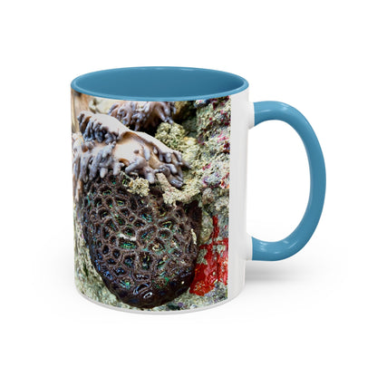 Reef range Accent Coffee Mug (11, 15oz)