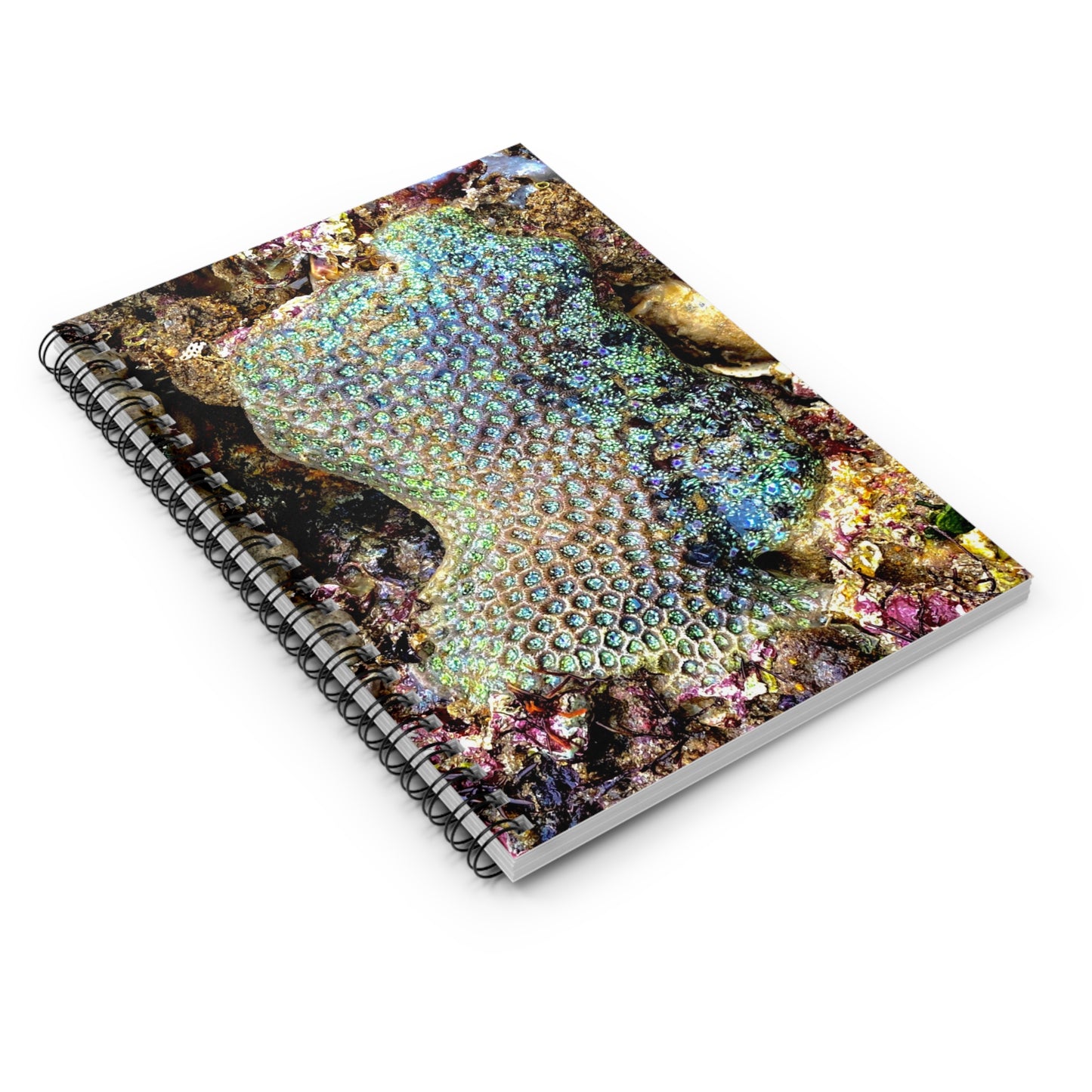 Reef range Spiral Notebook - Ruled Line