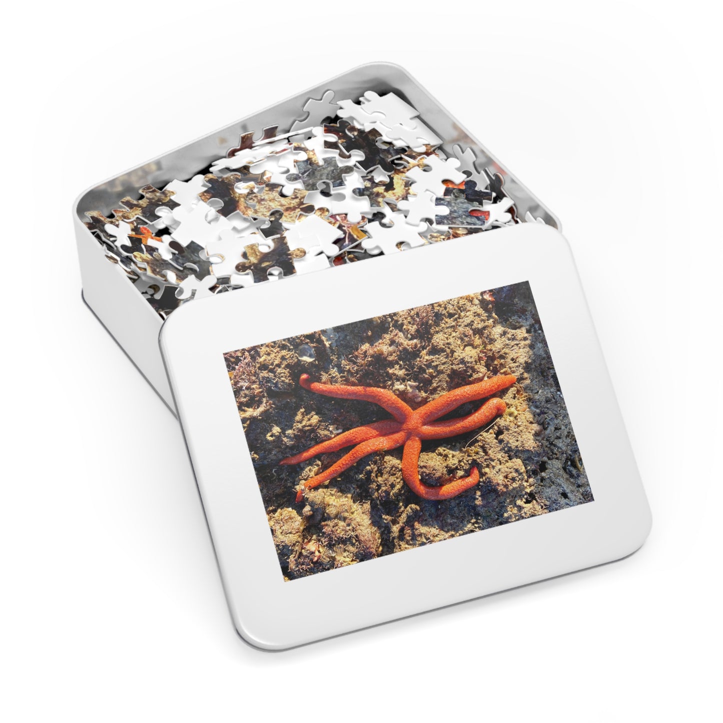 Reef- Jigsaw Puzzle (30, 110, 252, 500,1000-Piece)