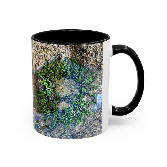 Reef range Accent Coffee Mug (11, 15oz)