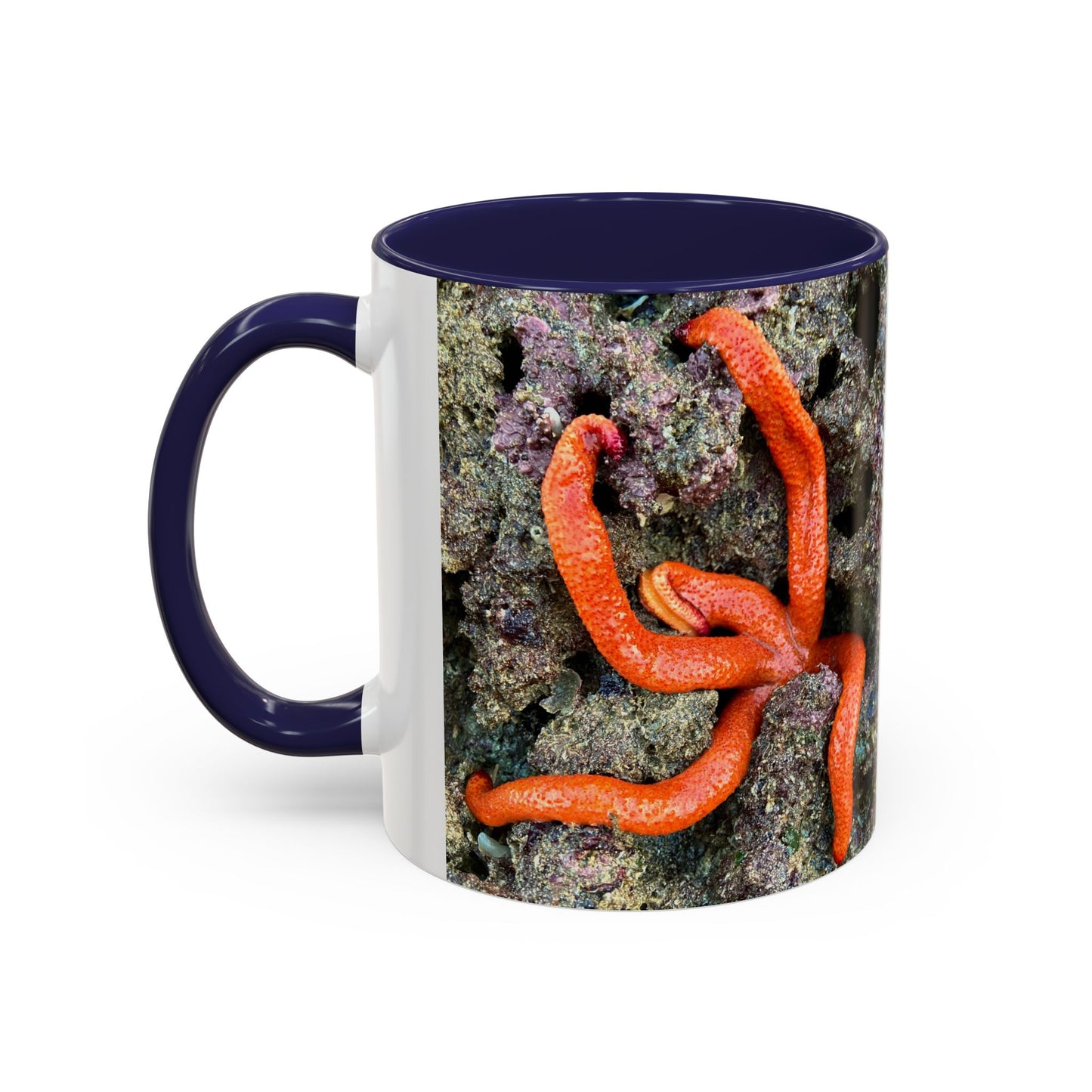 Reef range Accent Coffee Mug (11, 15oz)