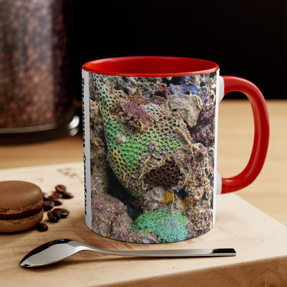 Reef range- AUS PRINT Colorful Accent Mugs, 11oz