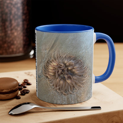 Reef range- AUS PRINT Colorful Accent Mugs, 11oz