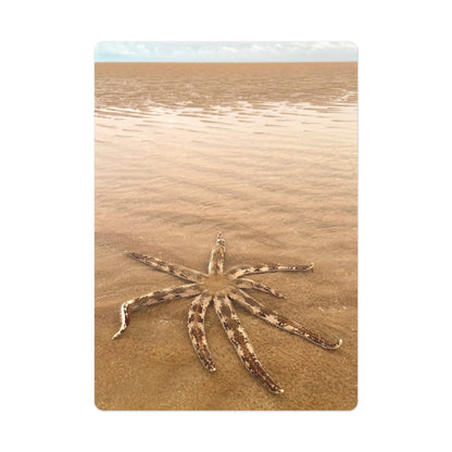 Beach Lovers range- Poker Cards