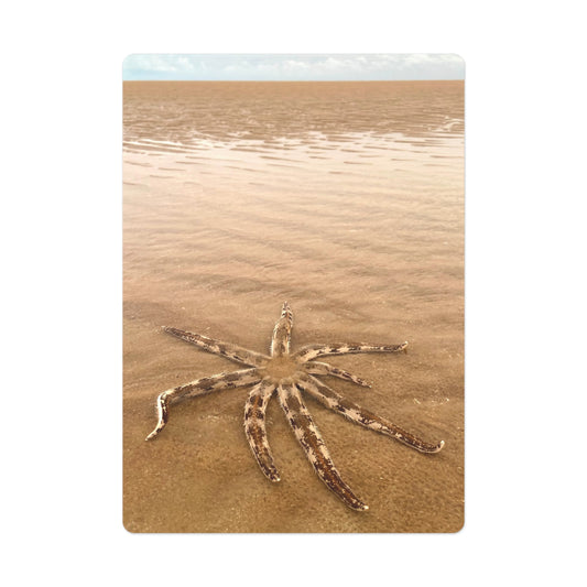Beach Lovers range- Poker Cards