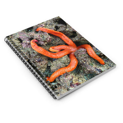 Reef range Spiral Notebook - Ruled Line