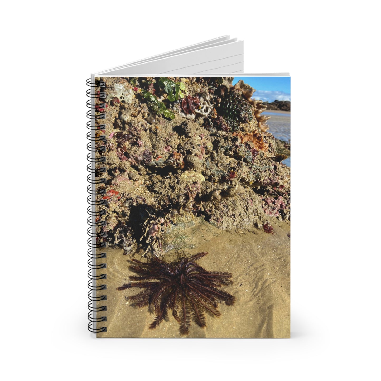 Reef range Spiral Notebook - Ruled Line