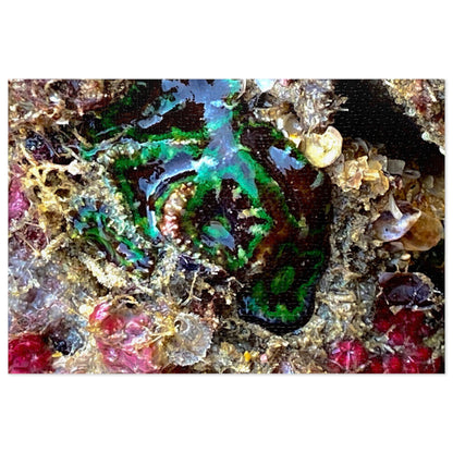 Reef range- Jigsaw Puzzle (30, 110, 252, 500,1000-Piece)