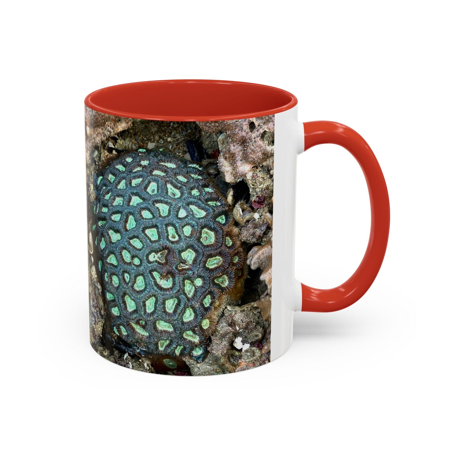 Reef range Accent Coffee Mug (11, 15oz)