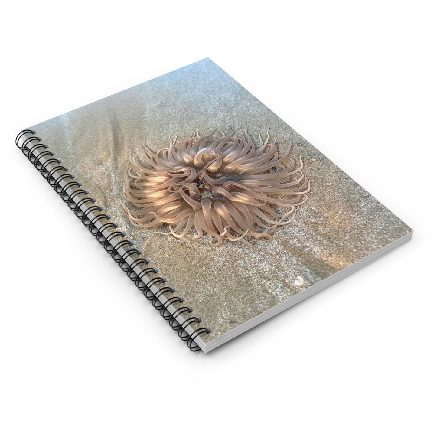 Reef range Spiral Notebook - Ruled Line