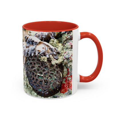 Reef range Accent Coffee Mug (11, 15oz)