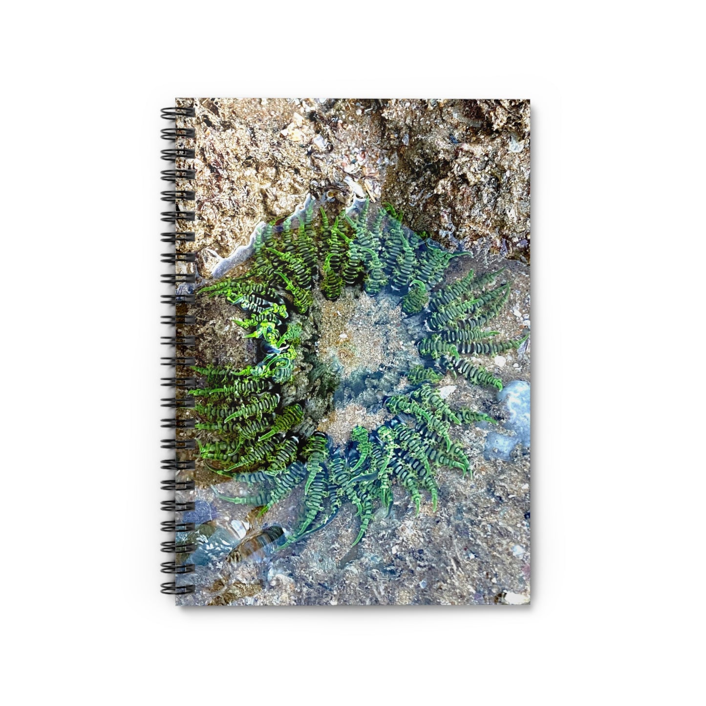 Reef range Spiral Notebook - Ruled Line