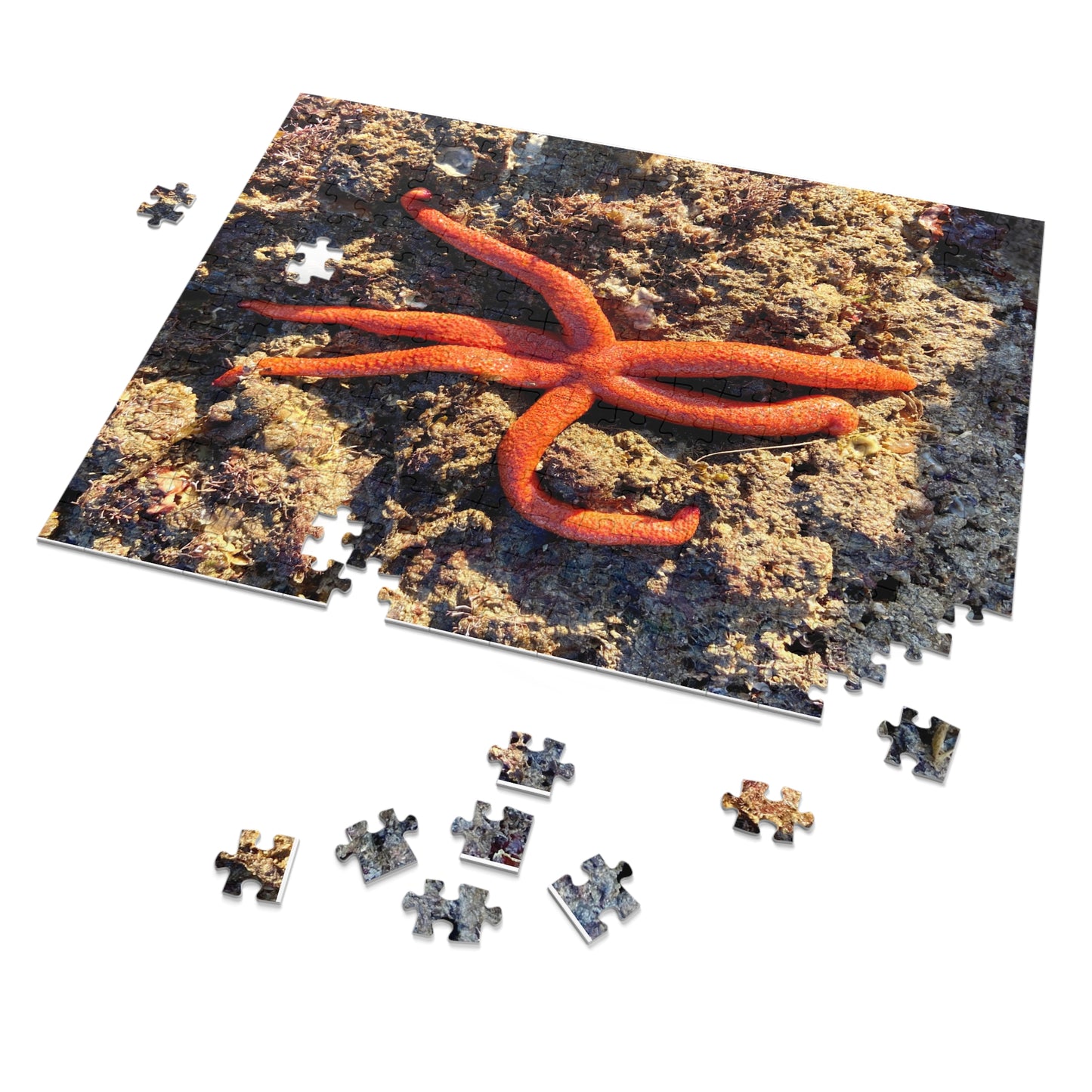 Reef- Jigsaw Puzzle (30, 110, 252, 500,1000-Piece)