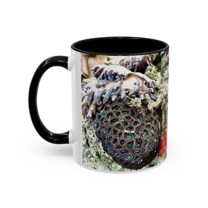 Reef range Accent Coffee Mug (11, 15oz)