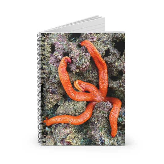 Reef range Spiral Notebook - Ruled Line