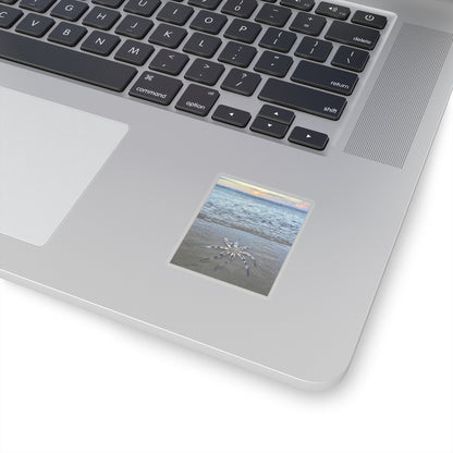 “Show me something interesting” Kiss-Cut Stickers